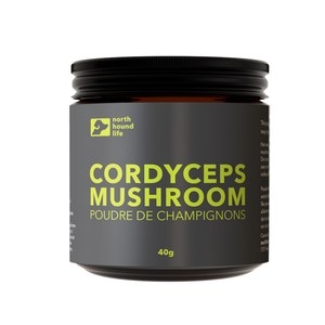 Cordyceps Mushroom: Superfood for dogs | Energy | Reduced Fatigue | Injury Support
