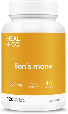 HEAL + CO. Lion's Mane Supplement | High Potency 4:1 extract, 500 mg per serving | Focus + Immunity | 120 x 500 mg Capsules