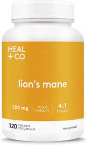 Suplemento de melena de león HEAL + CO. | Extracto de alta potencia 4:1, 500 mg por ración | Concentración + inmunidad | 120 cápsulas de 500 mg
