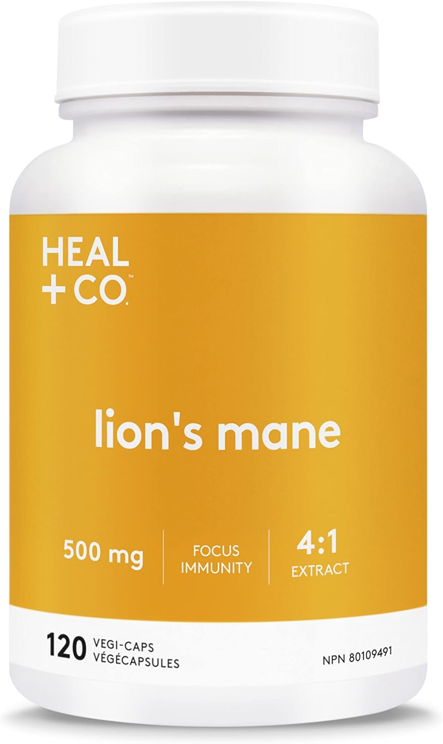 Suplemento de melena de león HEAL + CO. | Extracto de alta potencia 4:1, 500 mg por ración | Concentración + inmunidad | 120 cápsulas de 500 mg