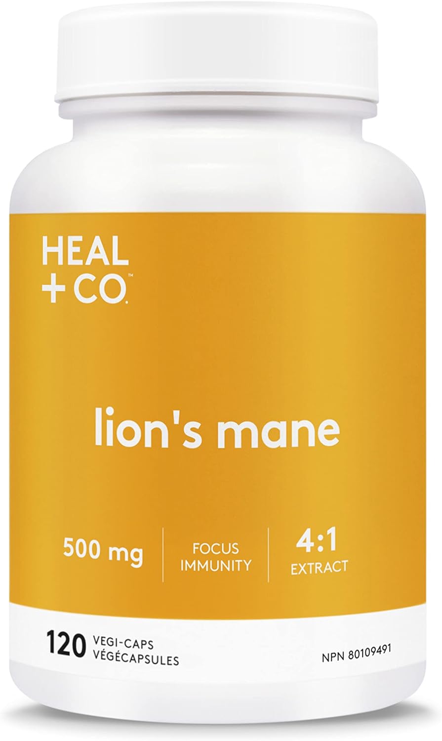 HEAL + CO. Supplément Crinière de Lion | Extrait 4:1 haute puissance, 500 mg par portion | Concentration + Immunité | 120 gélules de 500 mg