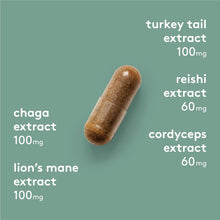 Cargar imagen en el visor de la galería, Complejo de superhongos HEAL+CO. | Suplemento para reforzar la energía y el sistema inmunitario | 5 potentes extractos de hongos: chaga, melena de león, cola de pavo, reishi y cordyceps | 120 cápsulas de 500 mg