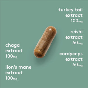Complejo de superhongos HEAL+CO. | Suplemento para reforzar la energía y el sistema inmunitario | 5 potentes extractos de hongos: chaga, melena de león, cola de pavo, reishi y cordyceps | 120 cápsulas de 500 mg