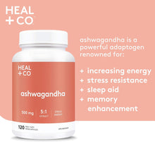 Cargar imagen en el visor de la galería, Suplemento de ashwagandha HEAL + CO. | Extracto de alta potencia 5:1, 500 mg por ración | Apoyo contra el estrés y la energía | 120 cápsulas de 500 mg