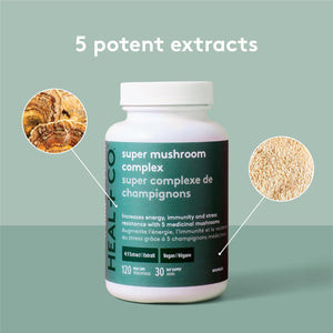 Complejo de superhongos HEAL+CO. | Suplemento para reforzar la energía y el sistema inmunitario | 5 potentes extractos de hongos: chaga, melena de león, cola de pavo, reishi y cordyceps | 120 cápsulas de 500 mg