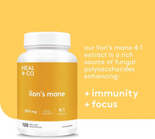 Load image into Gallery viewer, HEAL + CO. Lion&#39;s Mane Supplement | High Potency 4:1 extract, 500 mg per serving | Focus + Immunity | 120 x 500 mg Capsules