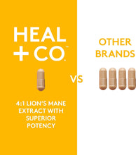 Cargar imagen en el visor de la galería, HEAL + CO. Lion&#39;s Mane Supplement | High Potency 4:1 extract, 500 mg per serving | Focus + Immunity | 120 x 500 mg Capsules