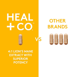 HEAL + CO. Lion's Mane Supplement | High Potency 4:1 extract, 500 mg per serving | Focus + Immunity | 120 x 500 mg Capsules