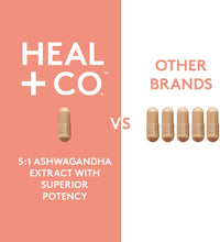 Load image into Gallery viewer, HEAL + CO. Ashwagandha Supplement | High Potency 5:1 extract, 500mg per serving | Stress + Energy Support | 120 x 500 mg Capsules