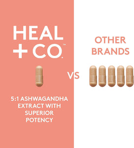Suplemento de ashwagandha HEAL + CO. | Extracto de alta potencia 5:1, 500 mg por ración | Apoyo contra el estrés y la energía | 120 cápsulas de 500 mg