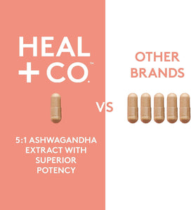 HEAL + CO. Ashwagandha Supplement | High Potency 5:1 extract, 500mg per serving | Stress + Energy Support | 120 x 500 mg Capsules