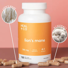 Load image into Gallery viewer, HEAL + CO. Lion&#39;s Mane Supplement | High Potency 4:1 extract, 500 mg per serving | Focus + Immunity | 120 x 500 mg Capsules