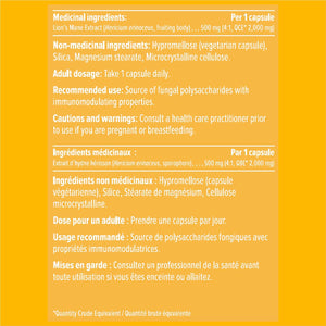 Suplemento de melena de león HEAL + CO. | Extracto de alta potencia 4:1, 500 mg por ración | Concentración + inmunidad | 120 cápsulas de 500 mg
