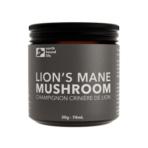 Lion's Mane Mushroom: Superfood for dogs | Mental and Neurological Health