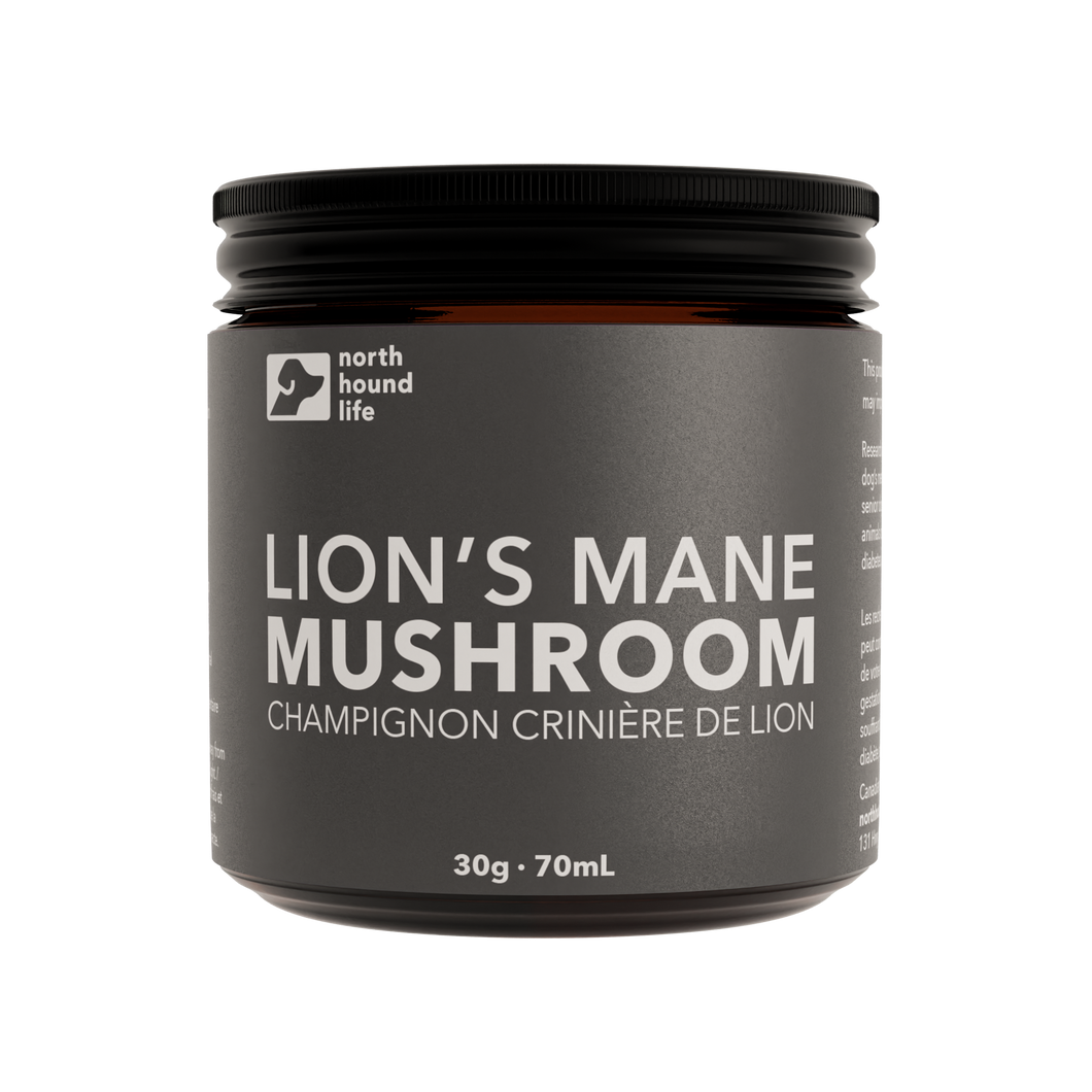 Lion's Mane Mushroom: Superfood for dogs | Mental and Neurological Health