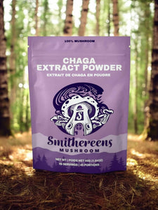 Chaga Extract Powder
