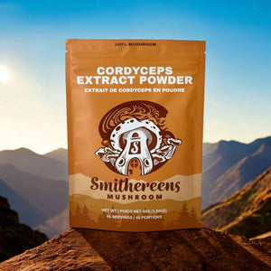 Cordyceps Extract Powder