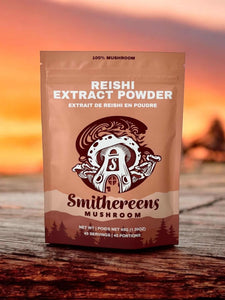 Red Reishi Extract Powder