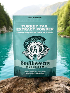 Turkey Tail Extract Powder