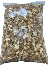 Cargar imagen en el visor de la galería, Hongo melena de león cultivado orgánicamente en EE. UU. | 1/4 lb, 1/2 lb y 1 lb | Uso culinario 